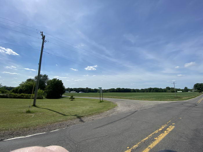 Bell Oak - July 2020 Photo Of Bell Oak (newer photo)